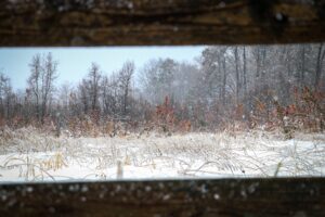 10746472960 img 4813