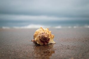 1470339880513433448 img 9938