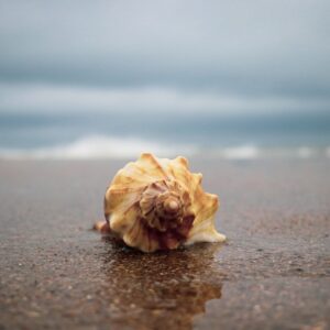 1470339880513433448 img 9938