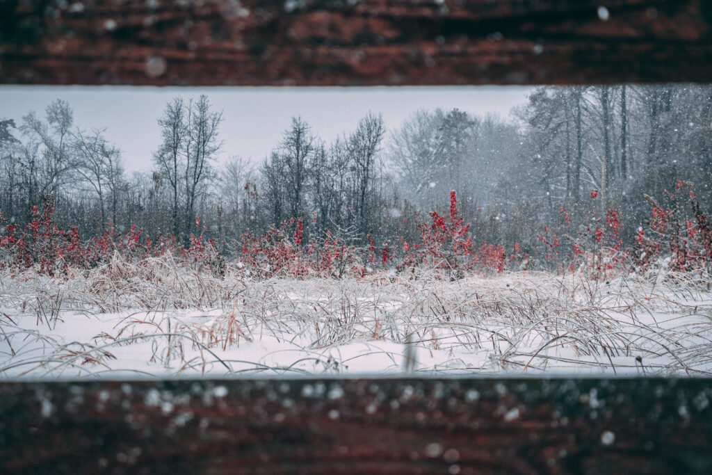 img 4811 edit img 4811 edit